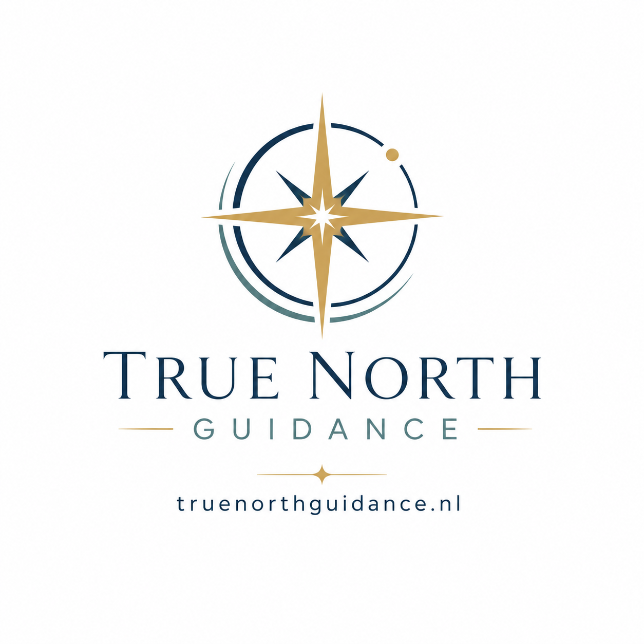 True North Guidance logo
